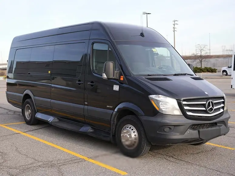Hamilton limousine service